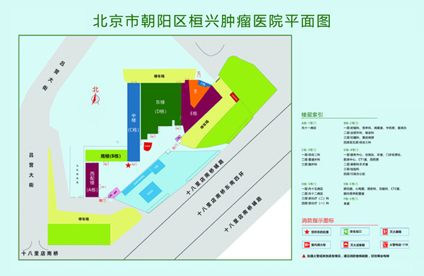 日死你啊太深了北京市朝阳区桓兴肿瘤医院平面图